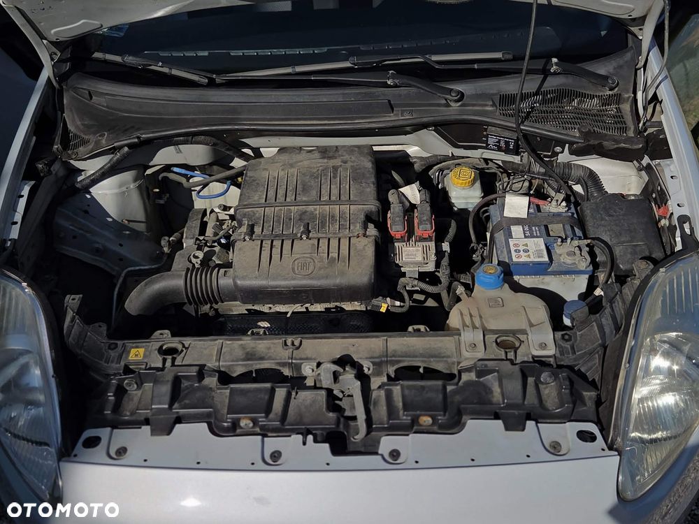 Fiat Punto - 6