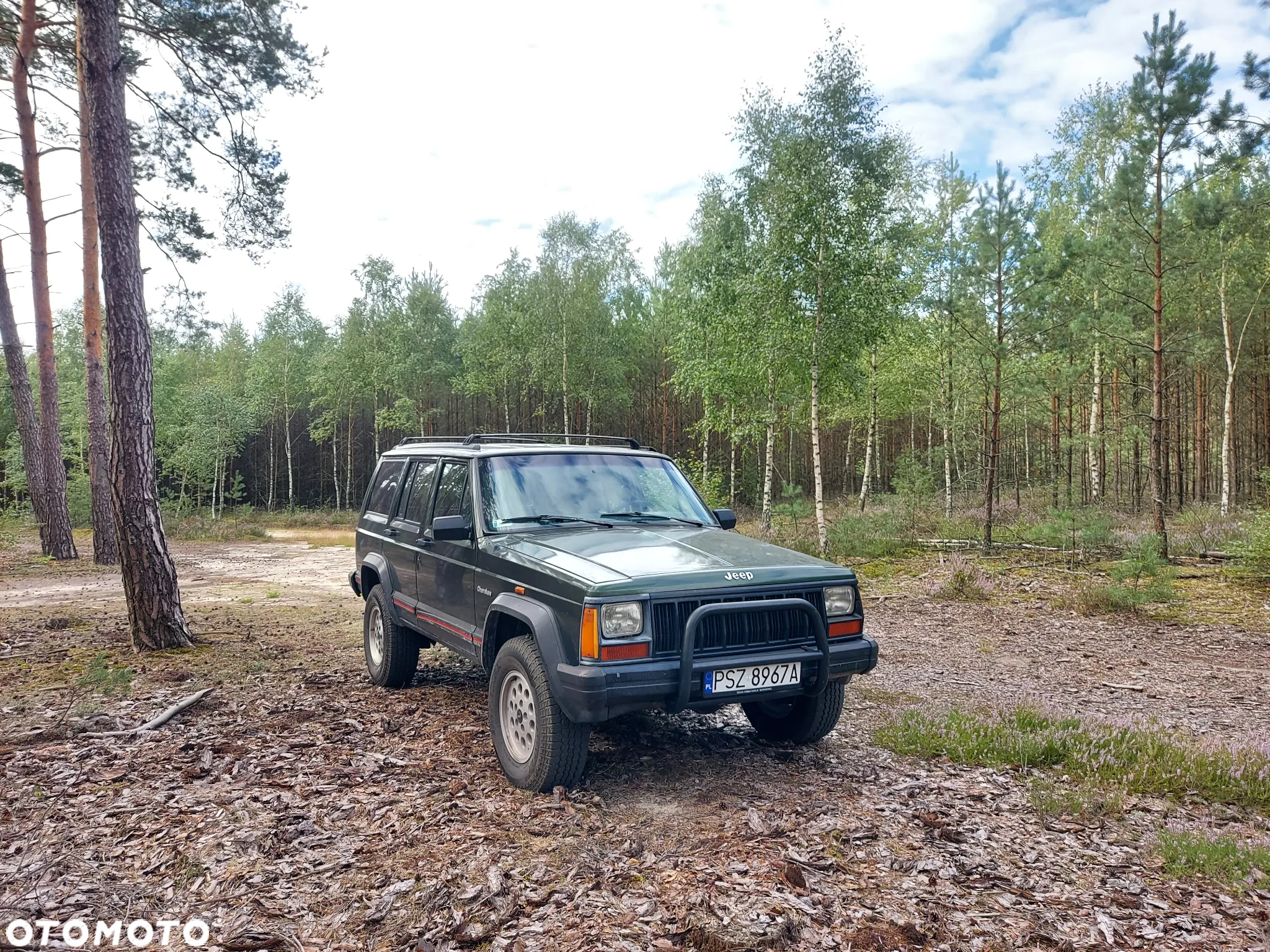 Jeep Cherokee 2.5 TD - 9