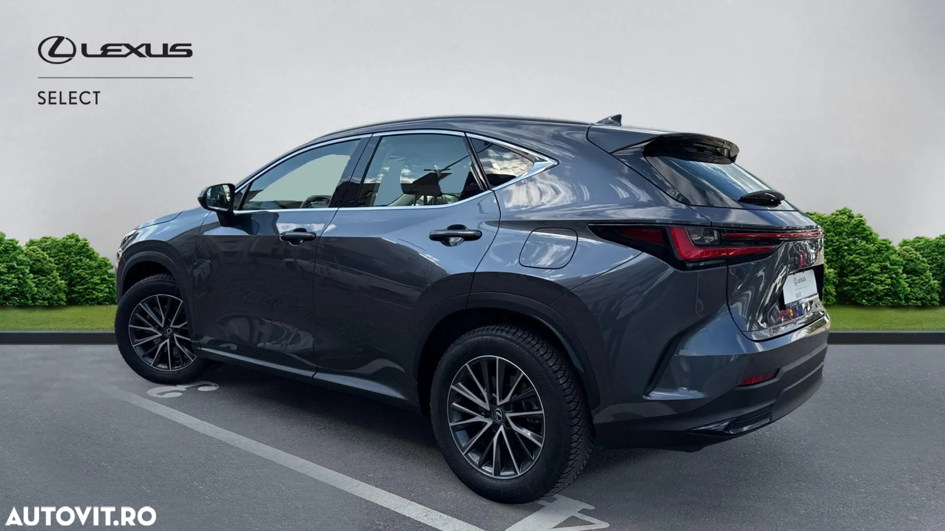 Lexus Seria NX 350h AWD CVT HEV Business - 4