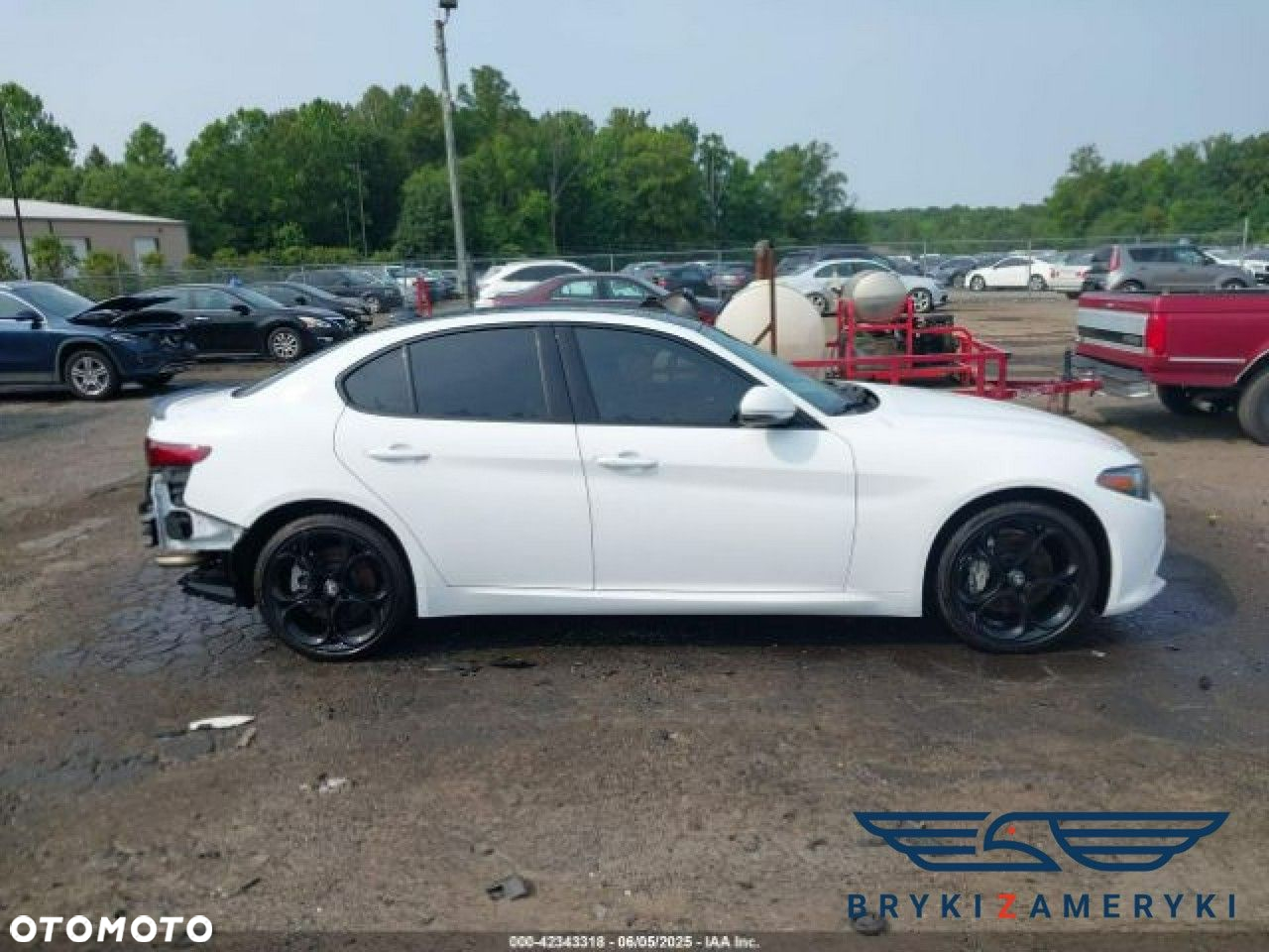 Alfa Romeo Giulia - 6
