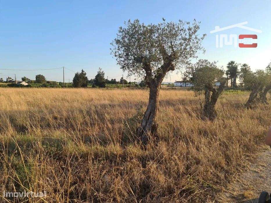 Terreno Rustico 6.000m² com possibilidade de construção de uma mora... - Grande imagem: 2/13