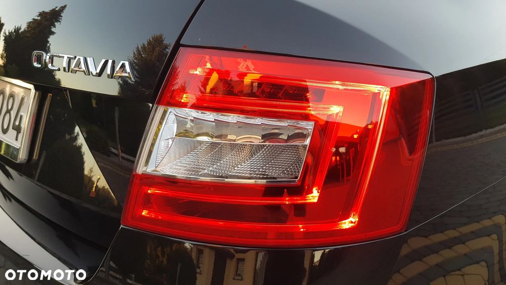 Skoda Octavia 2.0 TDI (Green tec) Joy - 36