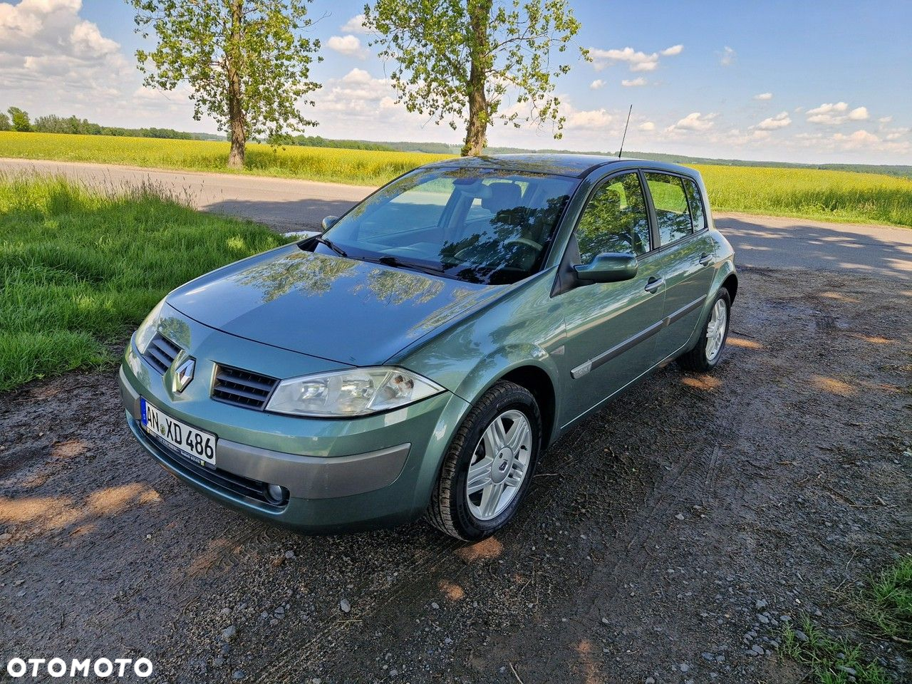Renault Megane 1.6 Luxe Privilege - 28