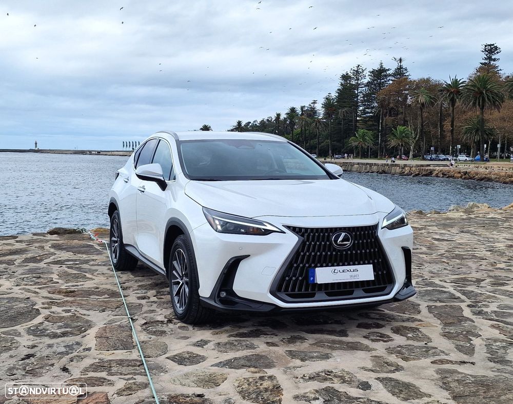 Lexus NX 450h+ - 25