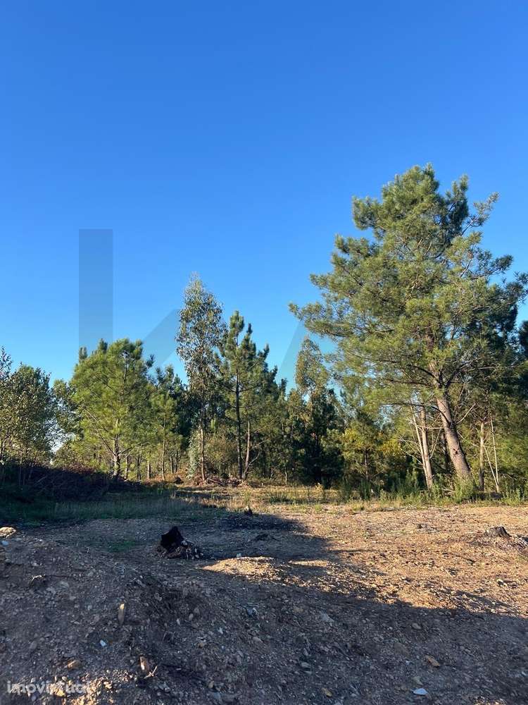 Terreno para Construção a 10 min do Centro Comercial 8ª avenida - Grande imagem: 5/6