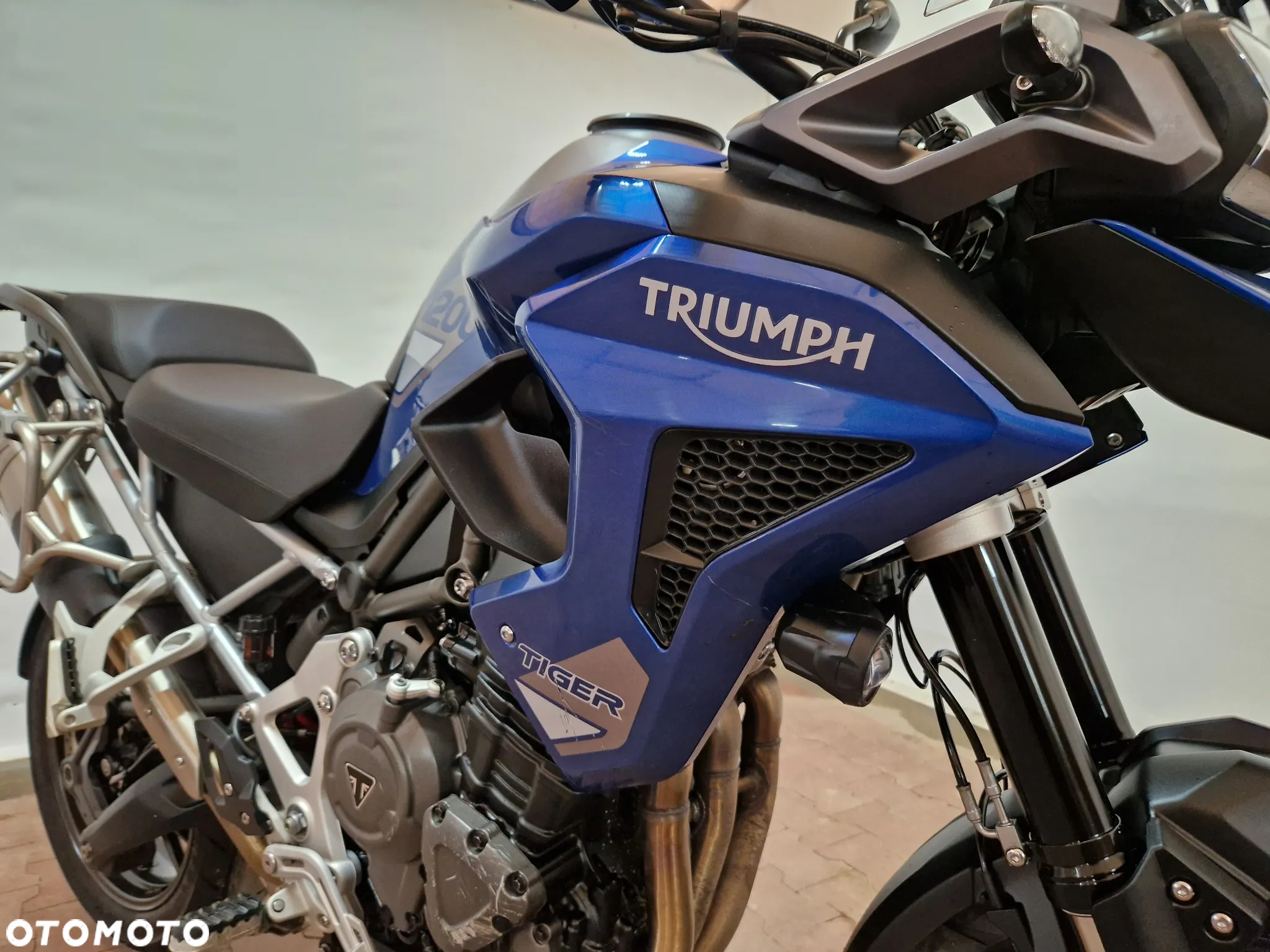 Triumph Tiger - 13