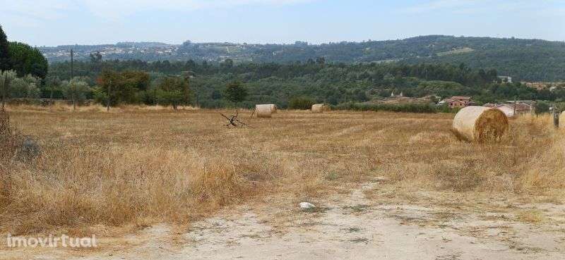 Terreno rústico para lotear - Grande imagem: 4/11
