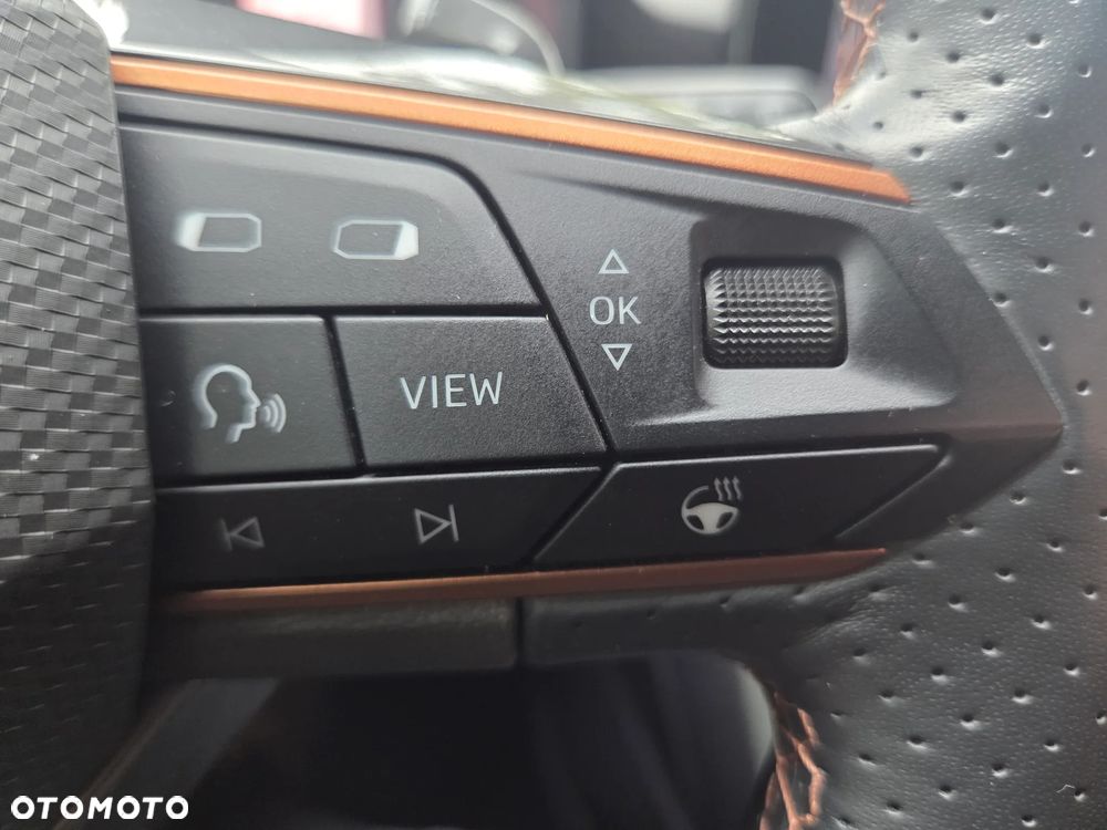 Cupra Formentor 2.0 TSI 4Drive DSG - 14