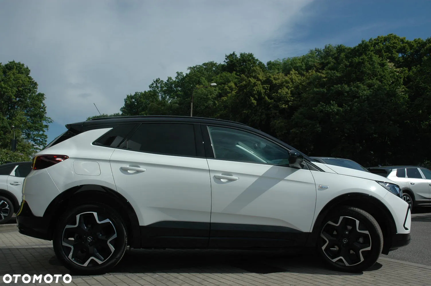 Opel Grandland 1.5 CDTI GS S&S - 3
