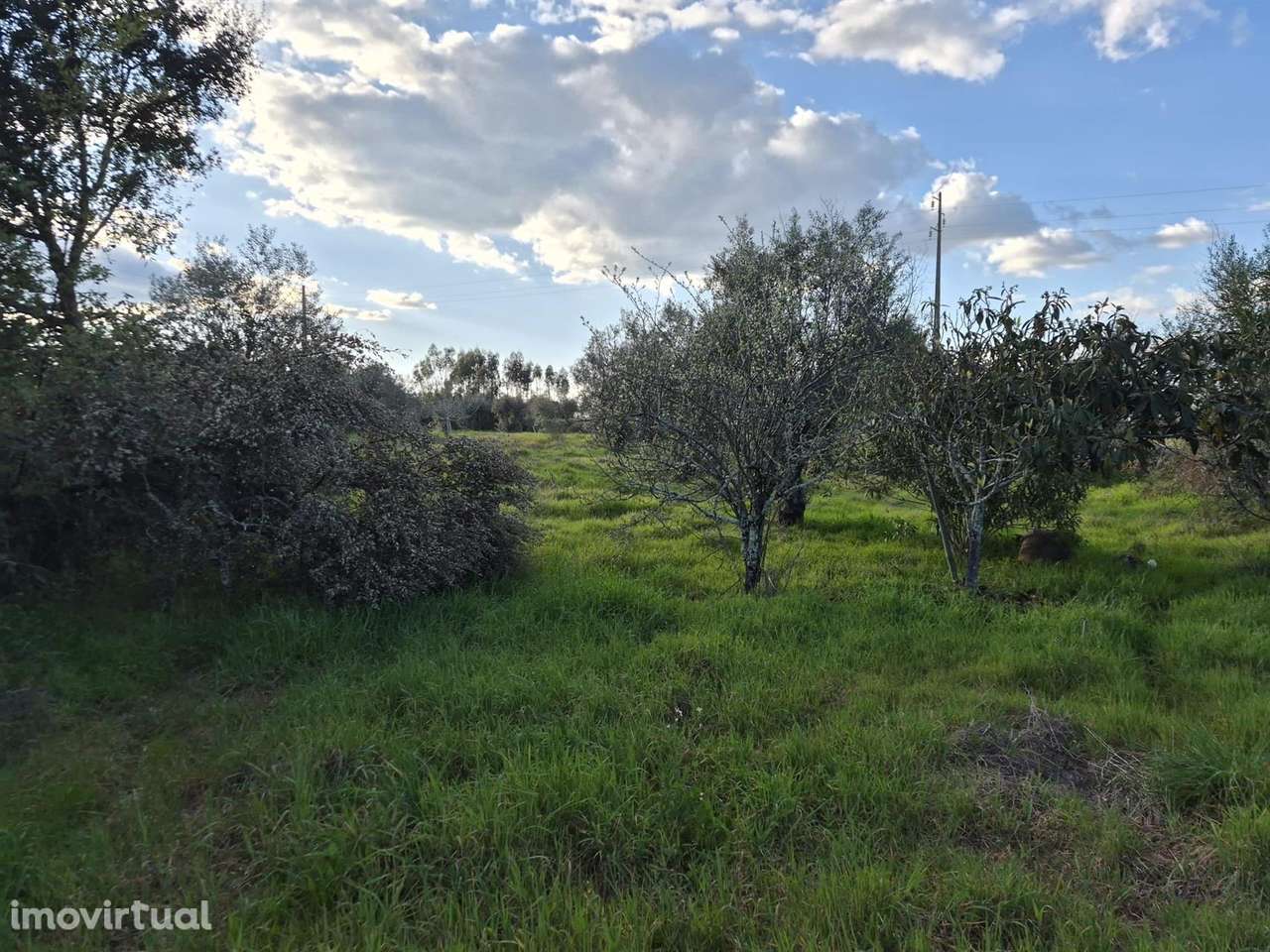 Terreno - Grande imagem: 3/7