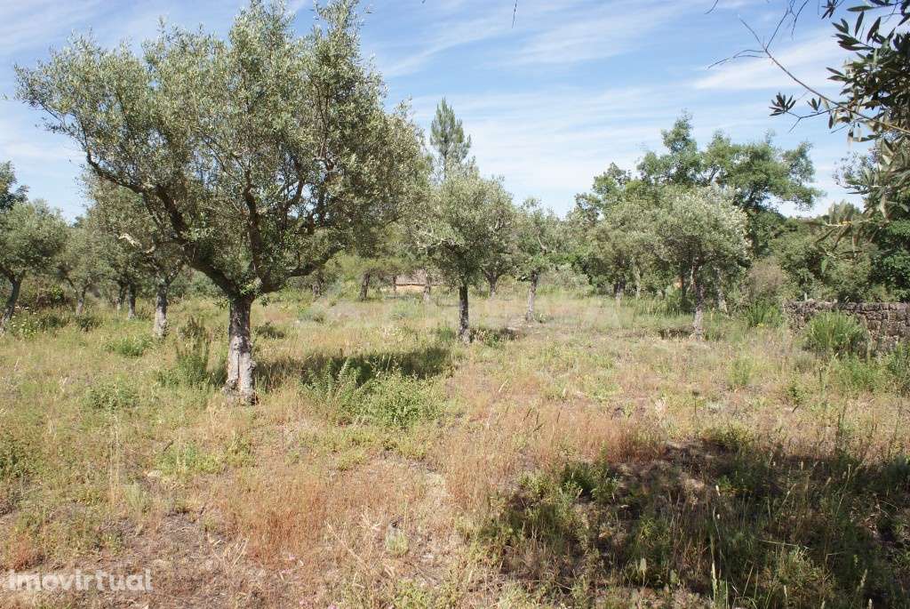 Terreno para venda - Grande imagem: 4/14