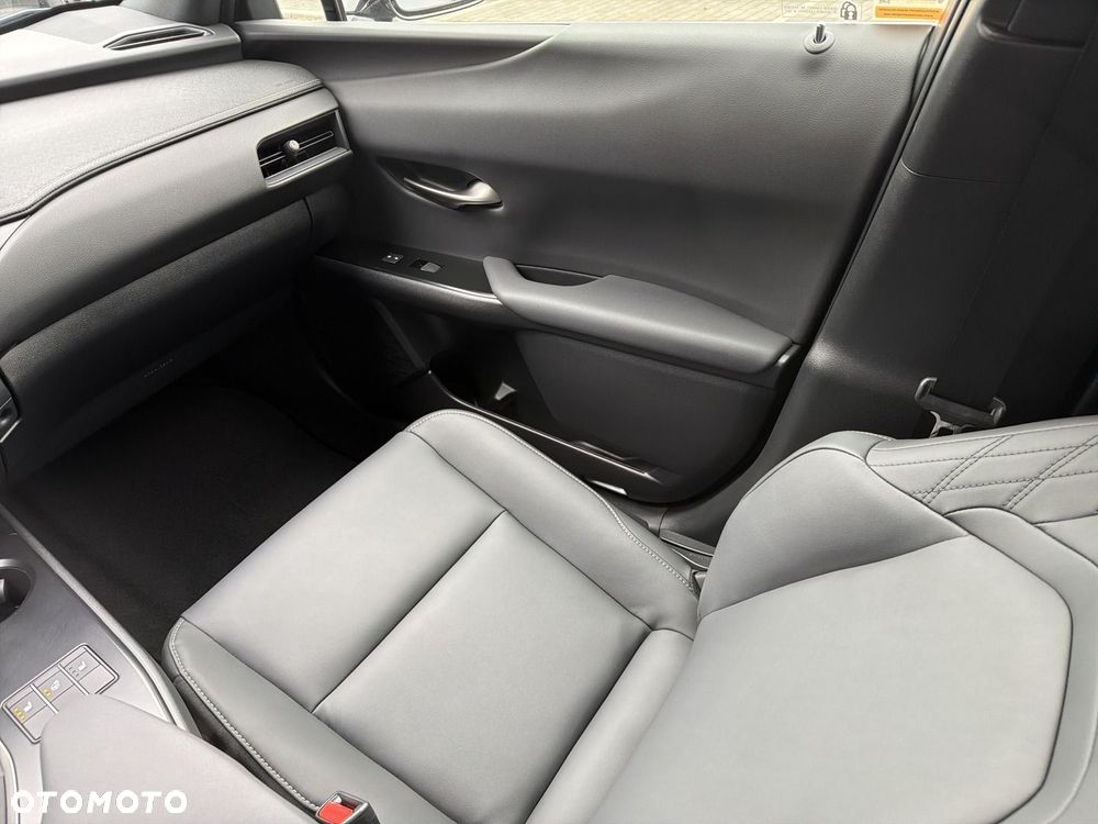 Lexus UX 250h GPF F Sport Design 2WD - 17