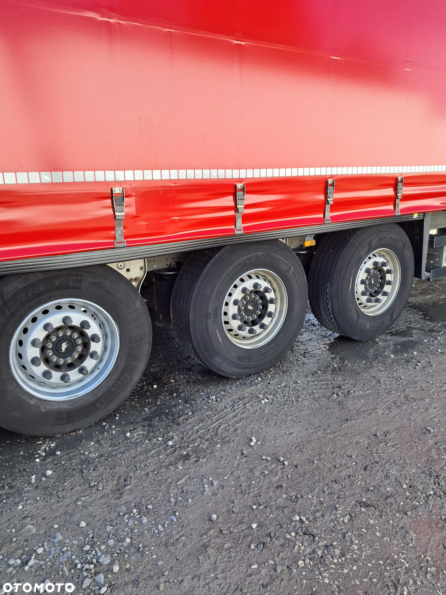 Schmitz Cargobull Standard - 4