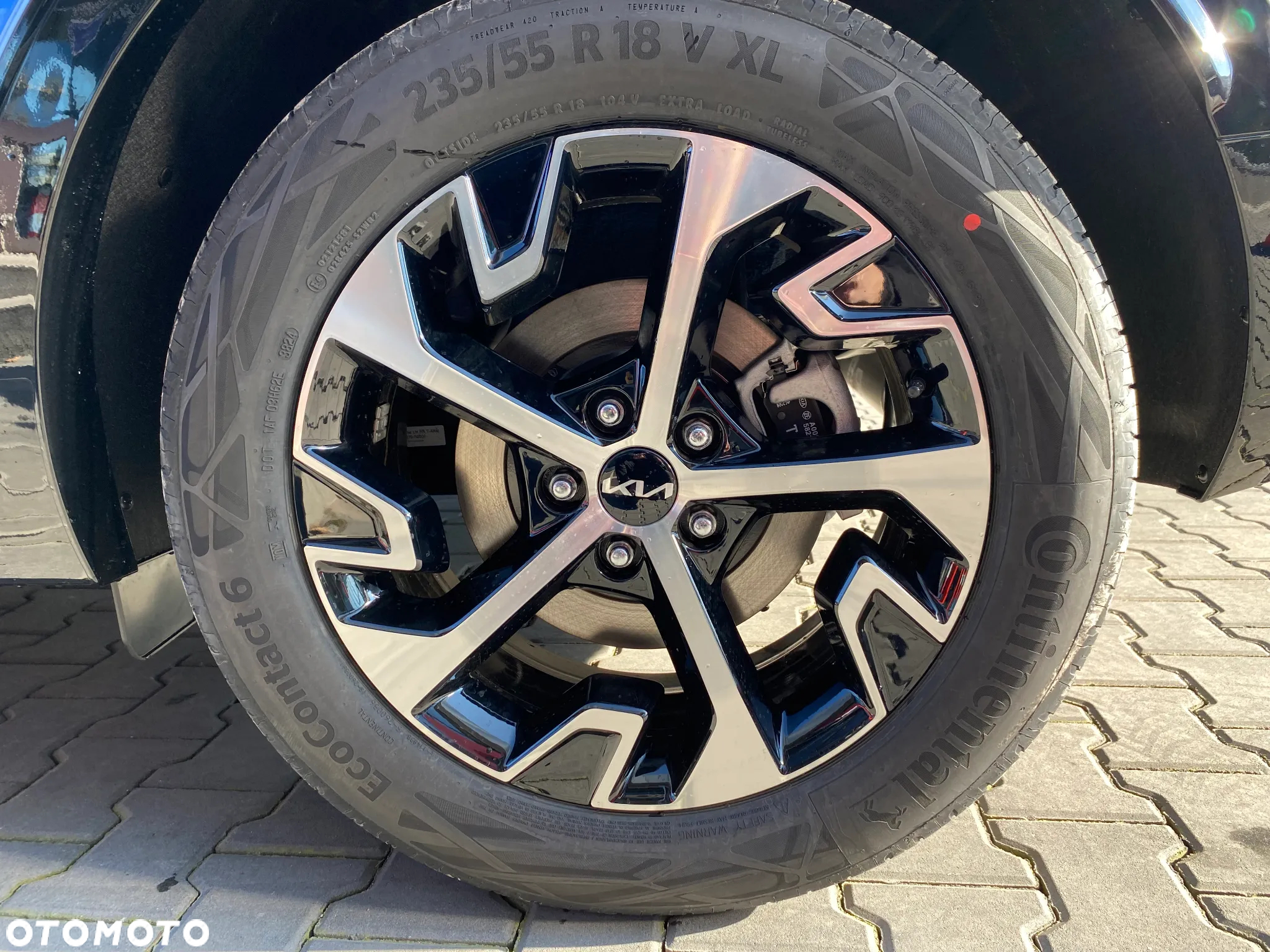 Kia Sportage 1.6 T-GDI HEV Business Line 4WD - 15