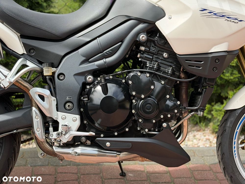Triumph Tiger - 13