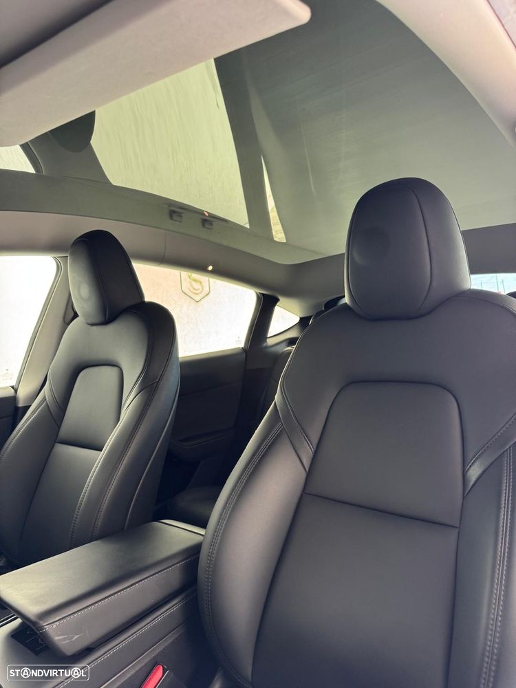 Tesla Model Y Performance Dual Motor AWD - 19