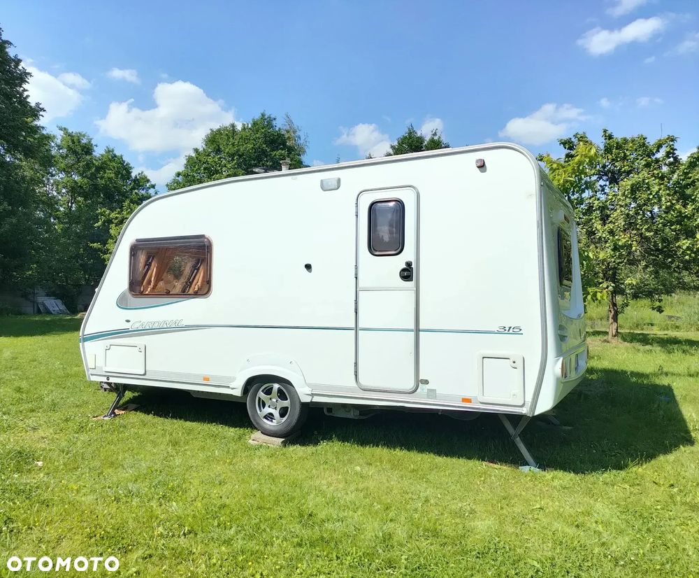 Abi Abbey Cardinal 315 - 1