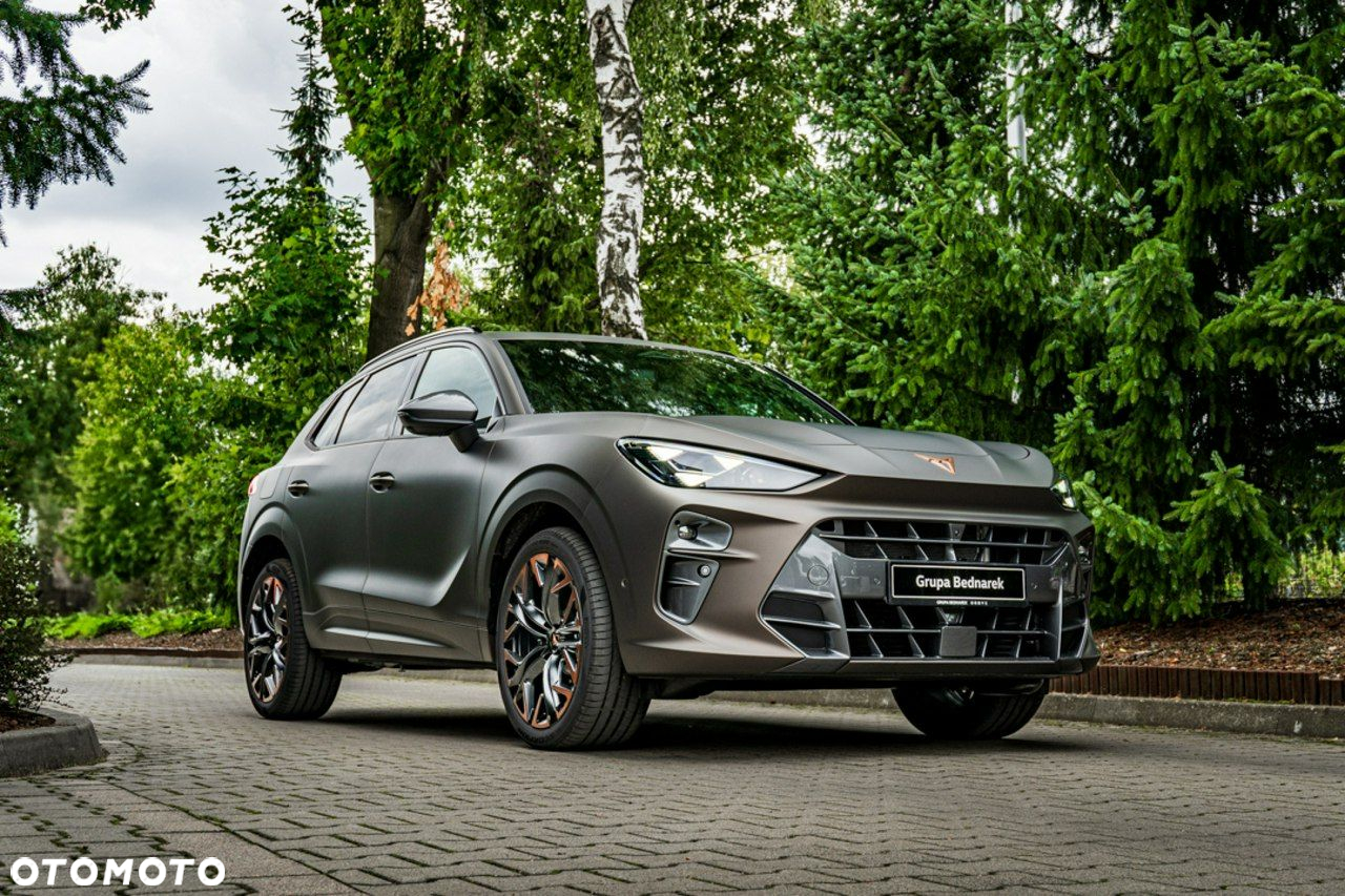 Cupra Terramar - 19