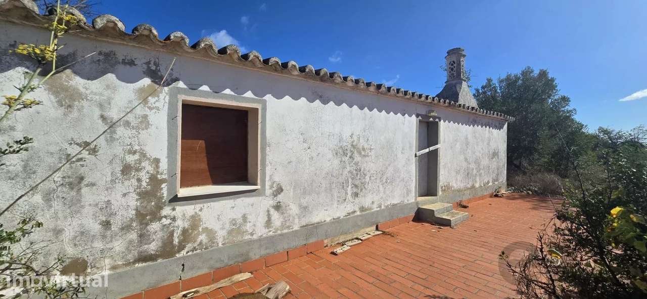 Quinta 3ha em Tavira com Casa para Recuperar | Investimento Algarve | - Grande imagem: 5/19