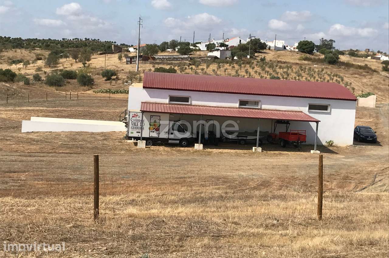 Herdade Vale do Guadiana 25HA - Grande imagem: 4/30
