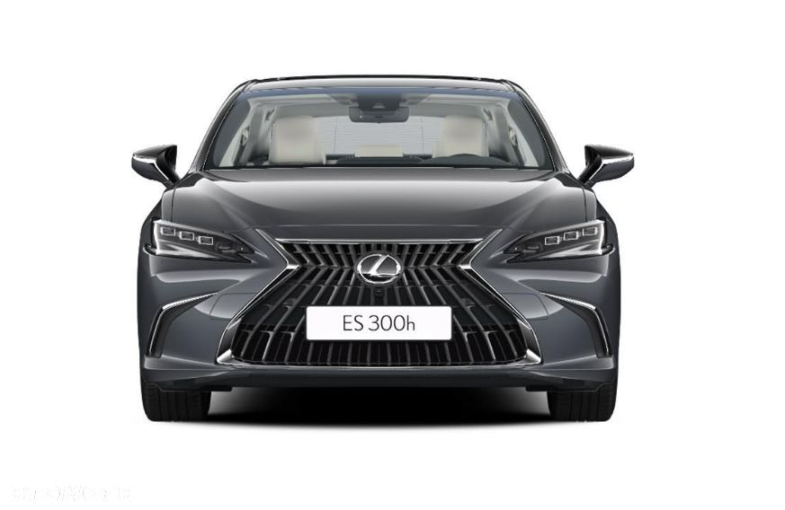 Lexus ES 300h Omotenashi - 3