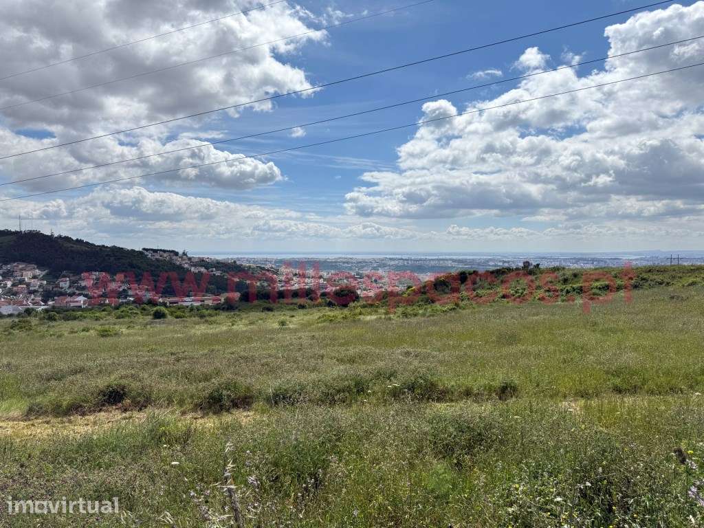 Lote de Terreno para Construção de Predio - Grande imagem: 3/23