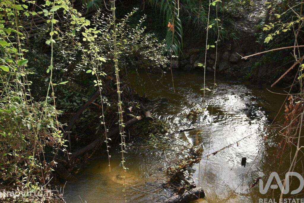 Terreno Agrícola em Sabacheira - Grande imagem: 5/36