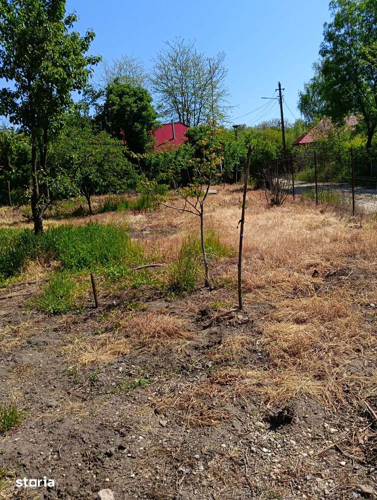 Casa cu 5 camere în zonă rurală, curte împrejmuită - Imagine principală: 4/6