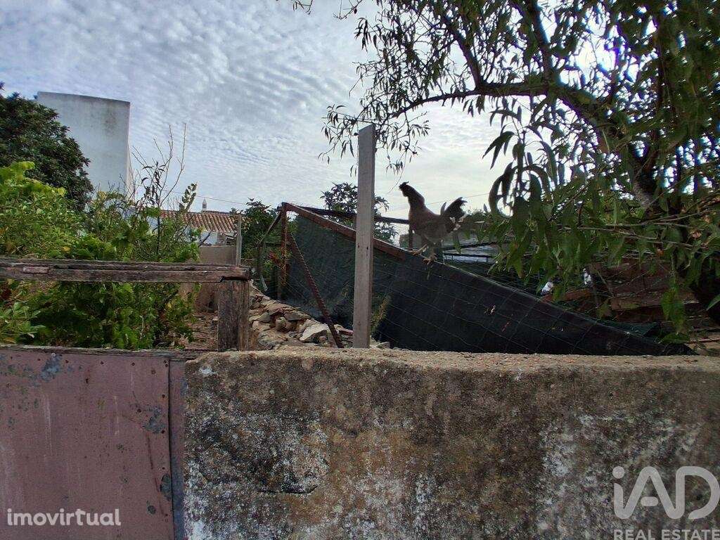 Terreno em Luz de 100,00 m2 - Grande imagem: 4/8