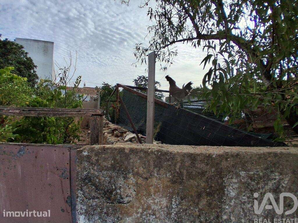Terreno em Luz de 100,00 m2 - Grande imagem: 4/8