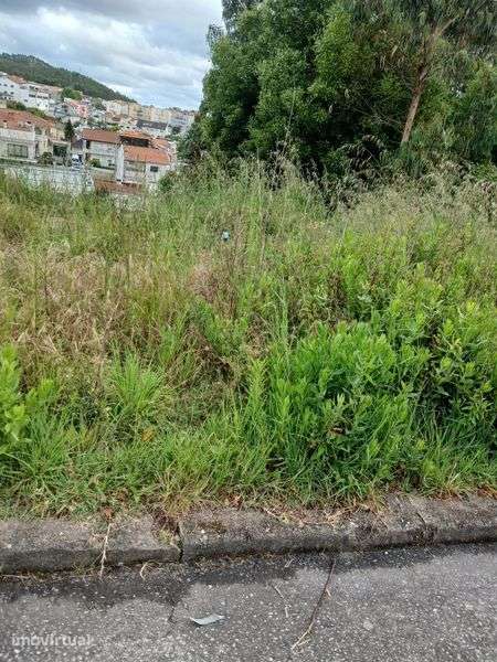 Terreno para construcao de moradia - Grande imagem: 3/4