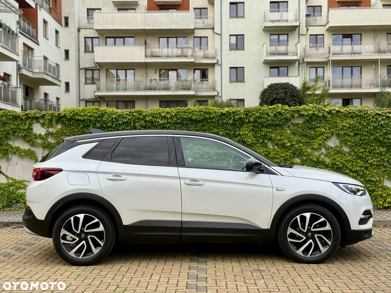 Opel Grandland X 1.6 CDTI Innovation S&S - 13