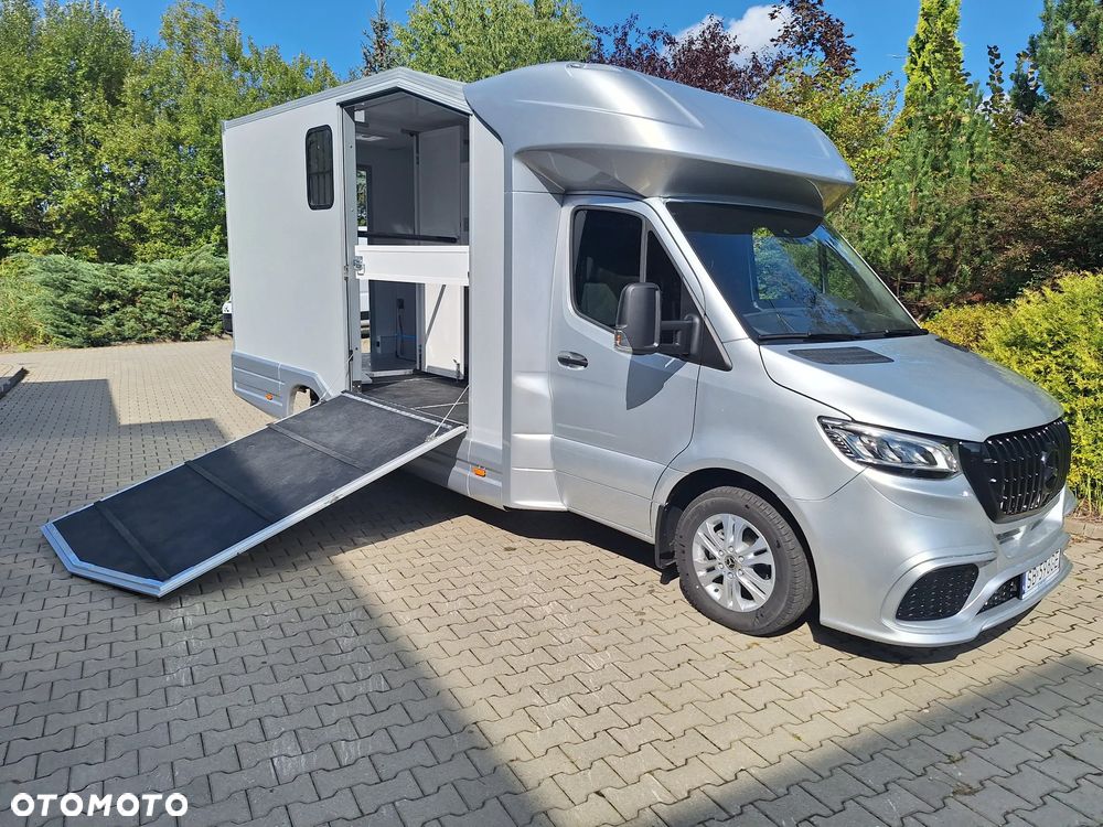 Mercedes-Benz Sprinter 319 - 9