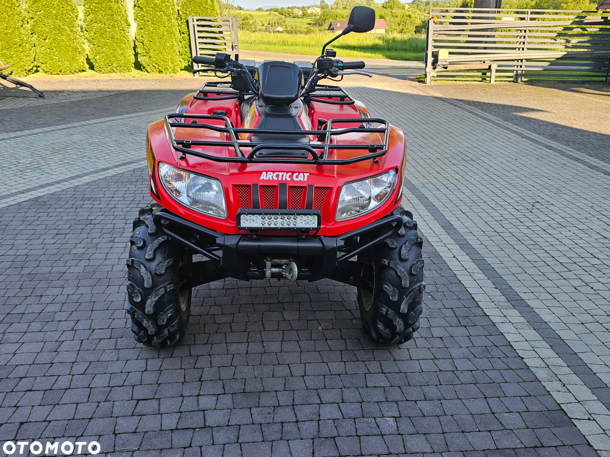 Arctic Cat Inny