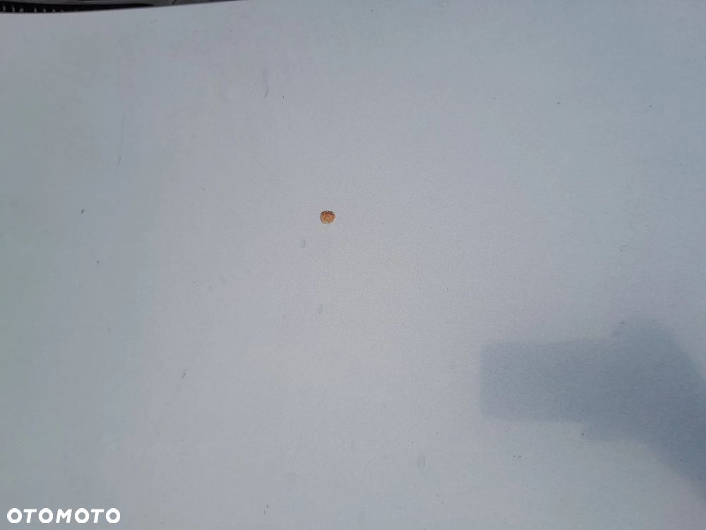 CITROEN BERLINGI LIFT MASKA POKRYWA SILNIKA KOLOR: EZWD - 8