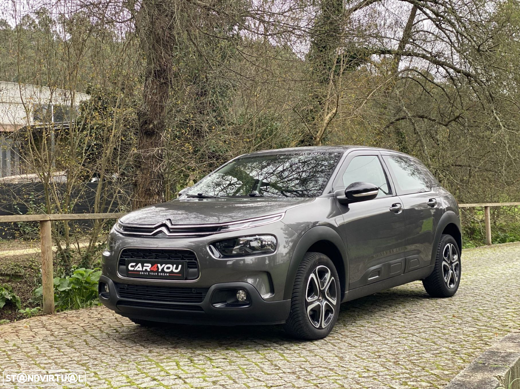 Citroën C4 Cactus 1.2 PureTech Shine - 2