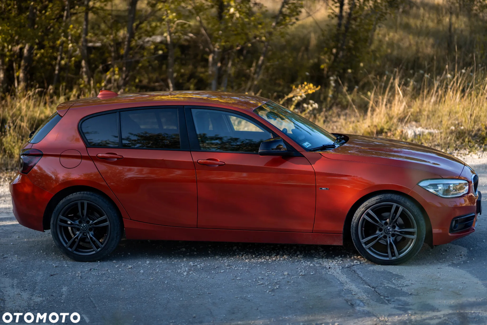 BMW Seria 1 118i Sport Line - 8