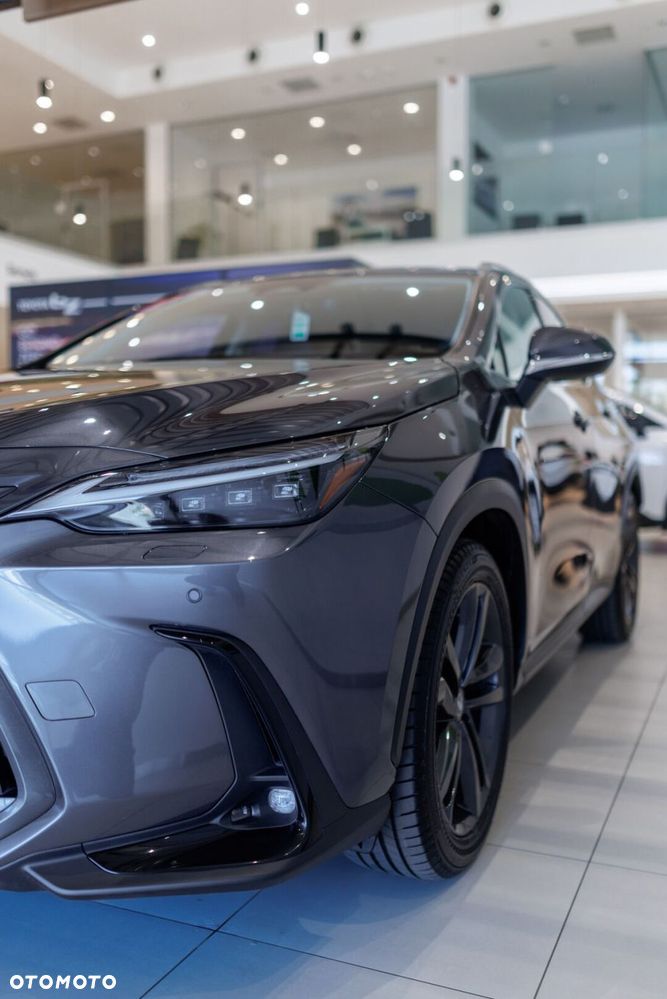 Lexus NX - 12