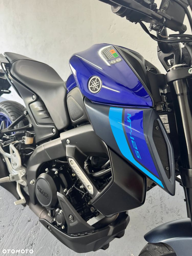 Yamaha MT - 17
