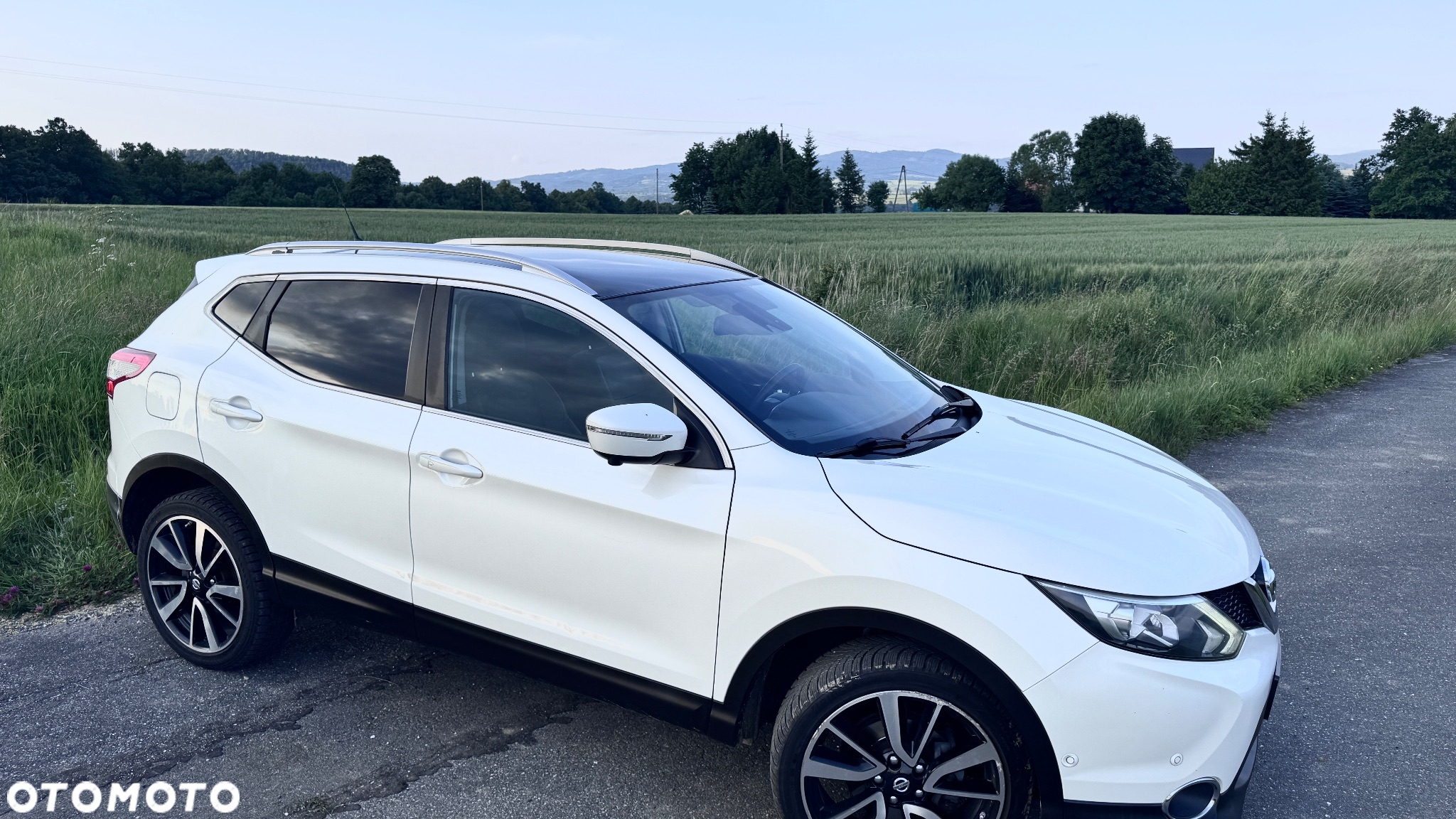 Nissan Qashqai 1.6 dCi 4x4 360 S&S - 4