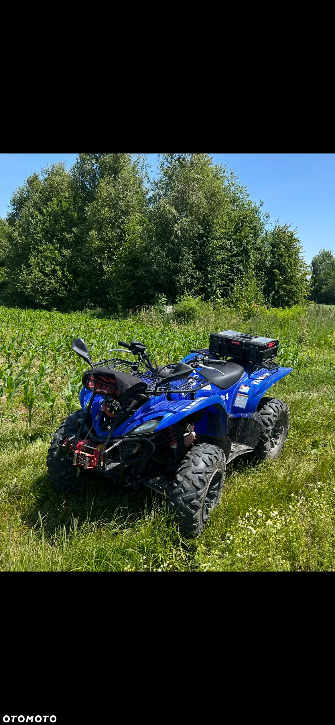 Yamaha Wolverine
