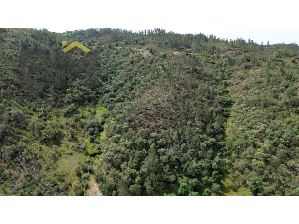 Terreno rústico com 34.320 m² para venda, localizado nas proximidad... - Grande imagem: 3/11