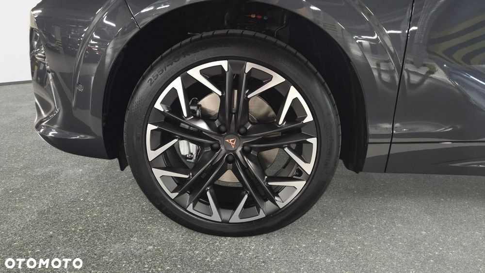 Cupra Terramar - 5