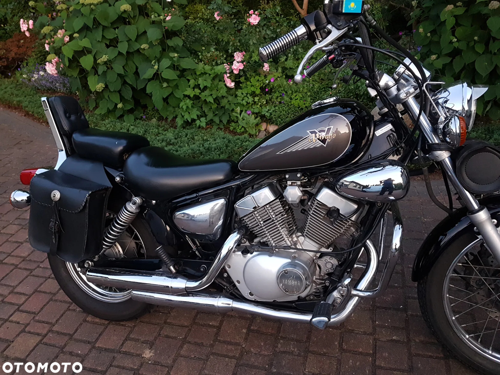 Yamaha Virago - 2