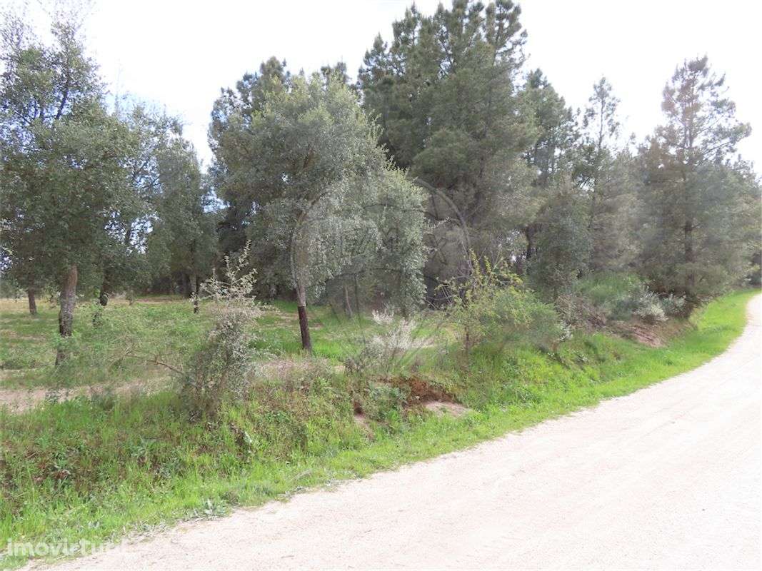 Quinta  para venda - Grande imagem: 4/23