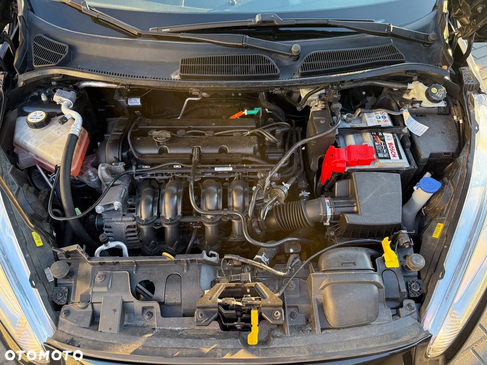 Ford Fiesta - 30