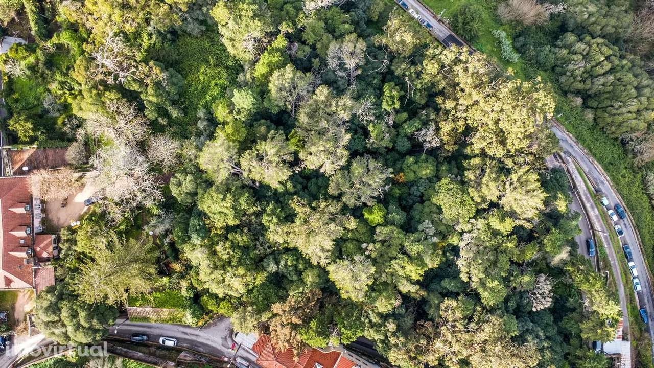 Quinta 1.9 ha, Sintra - Grande imagem: 3/60