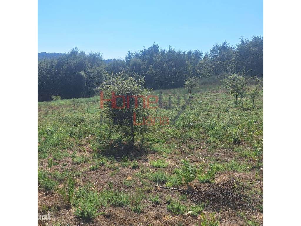 Terreno na Região de Gavião - Grande imagem: 3/9