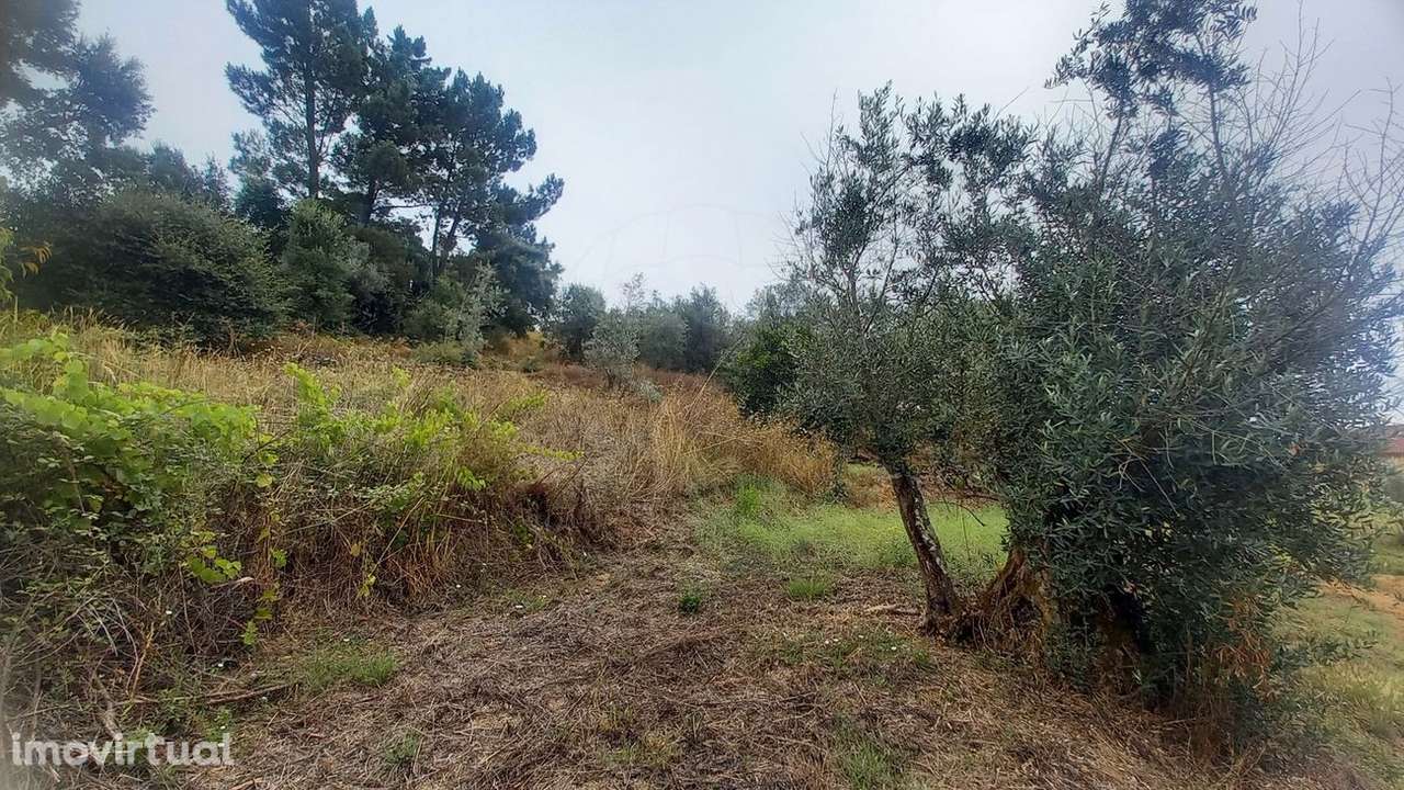 Terreno  para venda - Grande imagem: 2/10