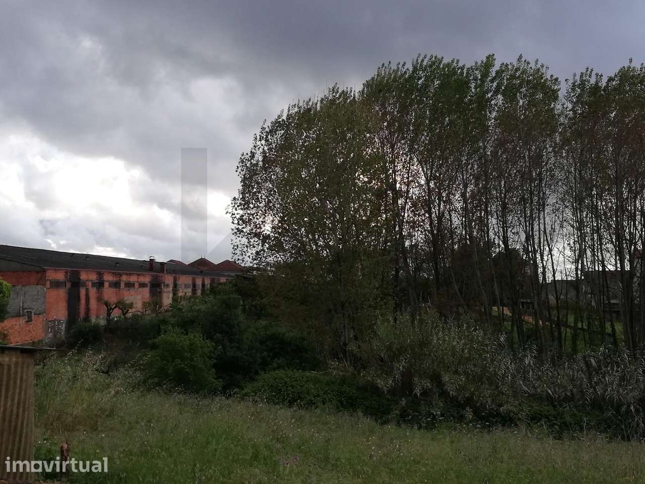Quinta do Formigal: 2 Hectares com Potencial Turístico e Agrícola em S - Grande imagem: 4/13